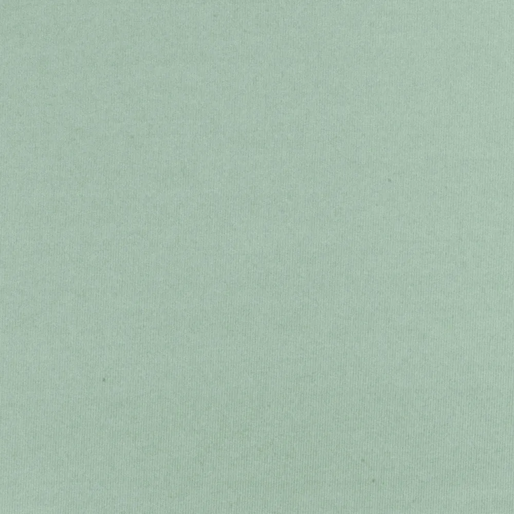 Ceramic Green Famous Maker Solid Stretch Tricot Yoga Swimwear Knit Fabric